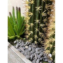 Black Rock, CJGQ 18lb River Rocks Pebbles for Plants Succulents, Decorative Outdoor Landscaping Garden Rocks, Natural Small Mexican Beach Pebbles Aquarium Rocks Gravel for Fish Tanks Vase Yard Decor