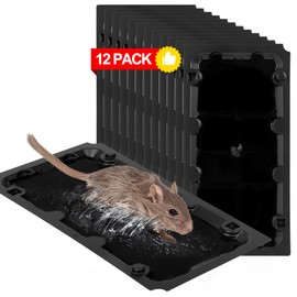 12 Pack Sticky Mouse Trap Rat Traps Indoor, Peanut Taste Pheromone Mouse Traps Indoor for Home, Glue Sticky Traps for Mice and Rats, Snake(Large Size)