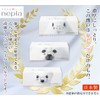 2 Pack of Nepia Nose Celebrity Tissue with Greetings Moving