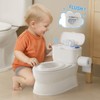 CheerTry 2-in-1 Toddler Potty Training Toilet - with Detachable Training