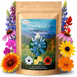 Created By Nature Tennessee Wildflower Seed Mix, 18 Flower Varieties, 35,000 Seeds