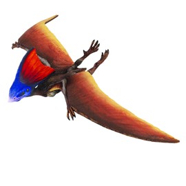 Safari Ltd Dinosaur and Prehistoric Life Collection – Tapejara– Soaring and Realistic Hand Painted Toy Figurine Model – Quality Construction from Safe and BPA Free Materials – For Ages 3 and Up