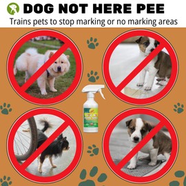OAIEGSD 16oz A Dog Trainer’s Must-Have for Stopping Indoor Marking - Not Here Dog Spray for Dogs to Stop Peeing