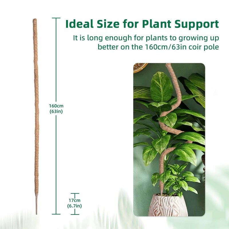 Mcbazel 63 Inch Moss Pole for Plants Monstera, Monstera Plant