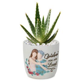 Afigurna Gardening Gifts for Grandma from Granddaughter: 5.3in Hand-Painted 3D Art Planter - Great Grandma Birthday Gifts - Meaningful Gigi Present for Grandmother Christmas Mothers Valentines Day