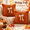 3D Plush Pumpkin Pillow Cover for Fall Decorating – Soft