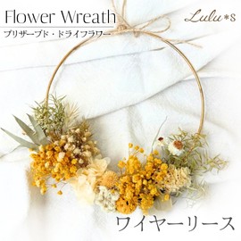 Lulu's Lulu's-0739 Preserved Flower Wire Wreath, Dried Flowers, Mimosa, Eucalyptus, Natural Wreath, Size: Approx. 8.3 x 1.8 x 8.7 inches (21 x 4.5 x 22 cm), Wire Wreath