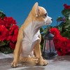 Bits and Pieces - Dog Solar Lantern Statue - Solar