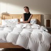 Three Geese Luxury Down Comforter Full Size, All-Season Duvet Insert