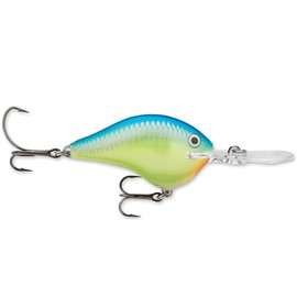 Rapala Ike's Custom Ink Crankbait (Caribbean Shad, DT06 - 2")