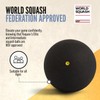Raquex Squash Balls - Tube of 3. 4 x Speed