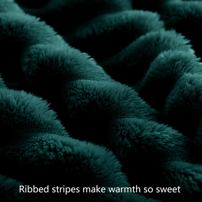 RUIKASI Fleece Throw Blanket for Sofa - Single Fluffy Emerald
