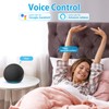 Intelligent WiFi Socket, 16 A 3680 W, Smart Plug Compatible
