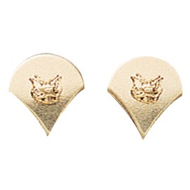 Rothco Spec-4 Polished Military Insignia (Gold)