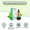MAX Absorption, Vitamin D3 + K2 (MK-7) Liquid Drops with
