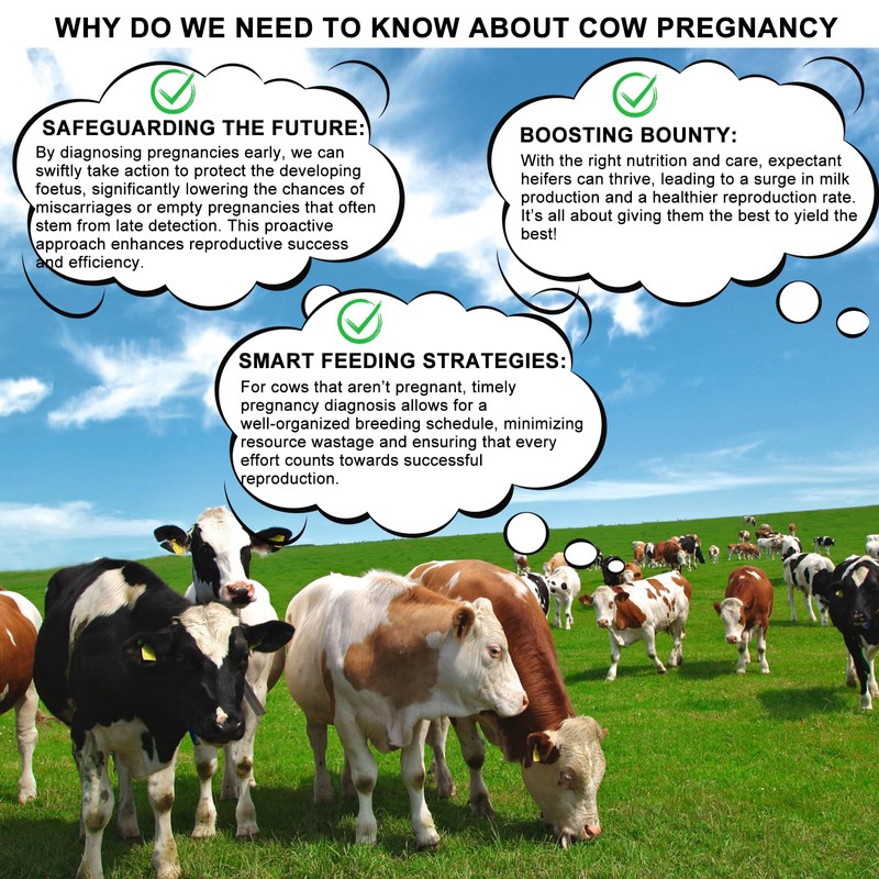 Cow Pregnancy Test kit, Home/Small Farm Use, 10-15 Minutes to