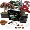 Sproutix Bonsai Starter Kit, 5 Seeds Growing into Acacia, Wisteria,
