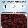 ALHER 2X6 HD Lace Closure Brazilian Human Hair #99J Dark