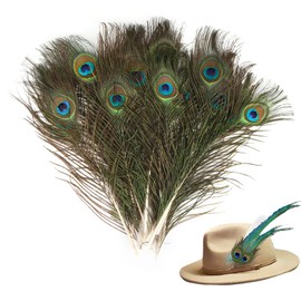 Pack of 20 Natural Peacock Feathers 25-30 cm Beautiful Eye Feathers for Hats DIY Craft Head Decorations Peacock Decoration