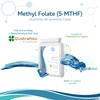 Methyl Folate 600µg - 90 Capsules as Quatrefolic 5-MTHF Supplement