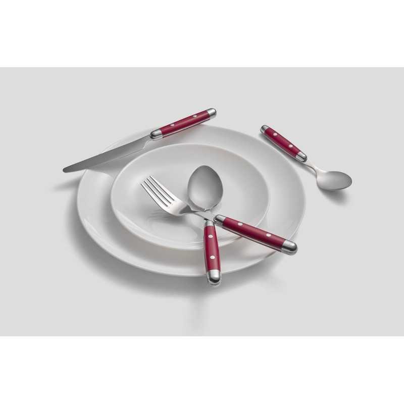 Cambridge 07216CBWD32R Jubilee Red 16-Piece Flatware Set, Thick Handles