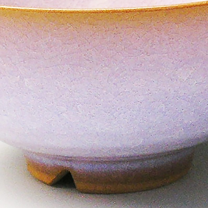 Japanese Ceramics M54875350 Tsubaki Hagi Murasaki Rice Bowl