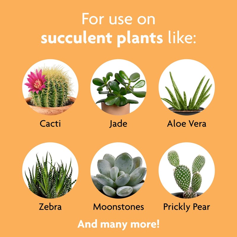 Miracle-Gro Succulent Plant Food, Liquid Plant Food for All Indoor