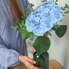 SOMYTING 20" Lifelike Artificial Hydrangea Large Real Touch Flowers Hydrangea
