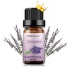 Sedbuwza Lavender Essential Oil, Pure Organic Lavender Fragrance Oil for