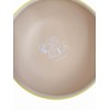 Marimo Craft Round Plate S YE Drawing SN&WS Diameter 5.9