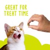 Purina Purina Friskies Cat Treats, Party Mix Original Crunch -