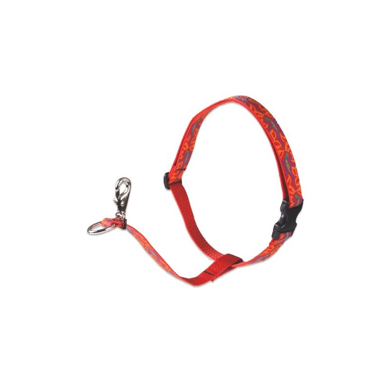 LupinePet Originals 1" Go Go Gecko 26-38" No Pull Harness