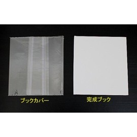 Blank White Picture Book (20 Square Pages), Free Craft