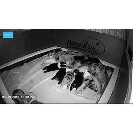 MOMENTUM Cámara Seguridad 2pz Mocam-sig02 WiFi Inalámbrico HD 720