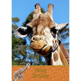 Giraffe Birthday Card
