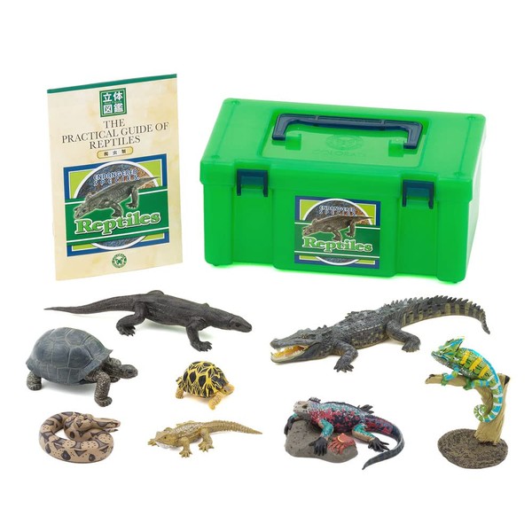 Carolata Reptile Figure Box (8 Types, 3D Illustrated Book and Instructions Included) Turtle, Lizard, Crocodile, Chameleon, Realistic Illustrated Book, Toy, Educational Toy, Present, Gift (Food Sanitation Law Clear)