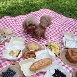 OnceMu Leisure Sheet, Large, 59.1 x 39.4 inches (150 x 100 cm), For 2-3 People, Waterproof, Moisture-Proof, Picnic Mat, Ultra Lightweight, Foldable, Compact Storage, For Camping, Cherry Blossom