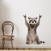GRAZDesign Wall Tattoo Raccoon Funny Wall Sticker for Living Room