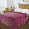 SUPERIOR 100% Fleece Metallic Polka Dot Print Twin Blanket, Mauve,