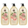 Shower Mate 샤워메이트 바디워시 바디클렌져 복숭아 1.2kg 3개 Shower Mate
