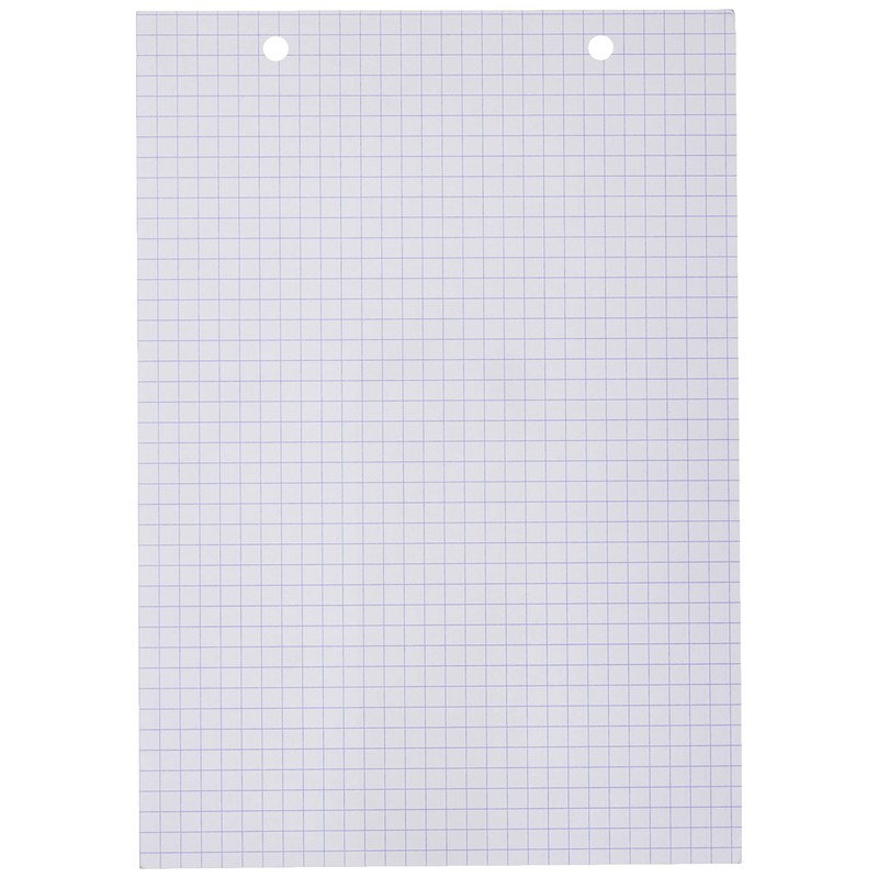 Exacompta - Ref 10608E - Bristol Squared & Punched Record