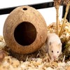 Hamster Hideout Wooden House Coconut Hut Hamster House Bed for