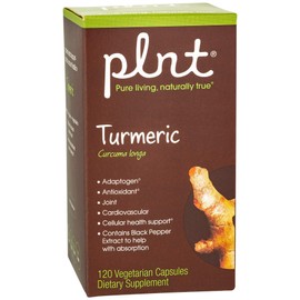 plnt Turmeric - with Natural, Non-GMO Indian Turmeric Root, Supports Joint Mobility, Cellular Health Support & Provides Antioxidant Benefits (120 Vegetarian Capsules)