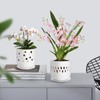 COLOAPT Orchid Pot with Holes, 5+6 Inch Ceramic Orchid Pots,