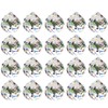 NUPTIO 20 mm Clear Crystal Ball Prism - Pack of