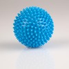 Sport-Tec Hedgehog Ball Massage Ball Reflex Zones Massage Self Massage