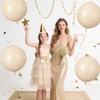 Cream Round Foil Balloons 9 pcs,Apricot Beige Giant 4D Round