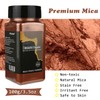 VITARIE Metallic Copper Mica Pigment Powder, 3.5 OZ/100 Grams Mica