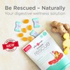 The Ginger People Ginger Rescue Digestive Wellness Lozenges (Hard) |