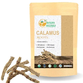 Herbs Botanica Calamus Root Loose Dried Herb For Skin, Stomach Health Benefits Herbal Tea Sweet flag/Sway/Vacha/Muskrat root/Vasambu 1 lb Bulk Bag